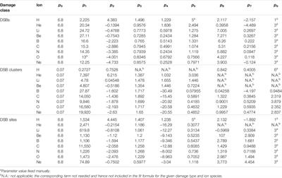 Coupling Radiation Transport and Track-Structure Simulations: Strategy Based on Analytical Formulas Representing DNA Damage Yields